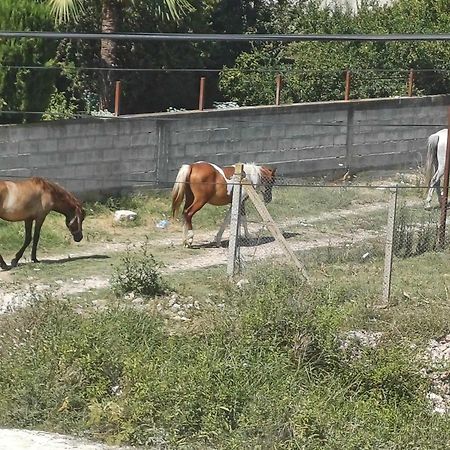 Villa Likaj 베라트 외부 사진