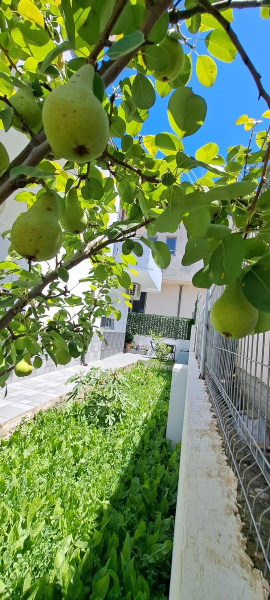 Villa Likaj 베라트 객실 사진
